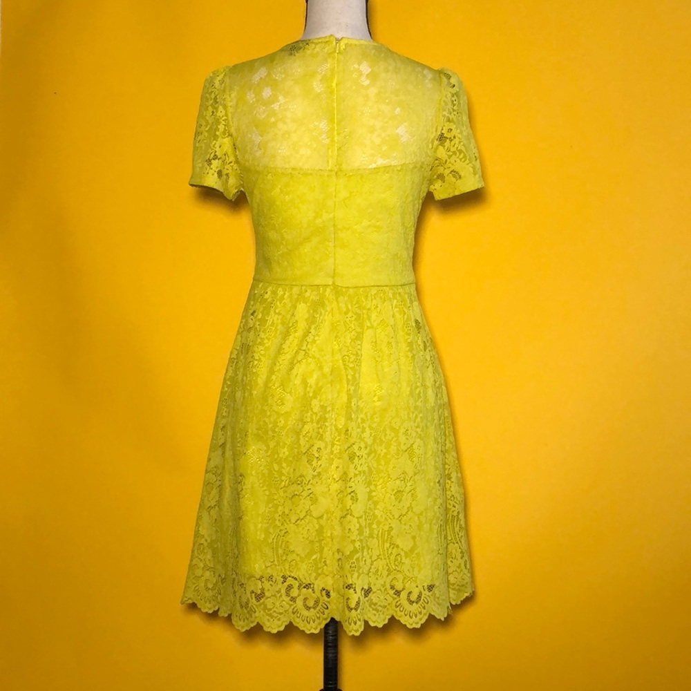 🟠 TOPSHOP 🟠 lace above the knee dress - Picture 2 of 9